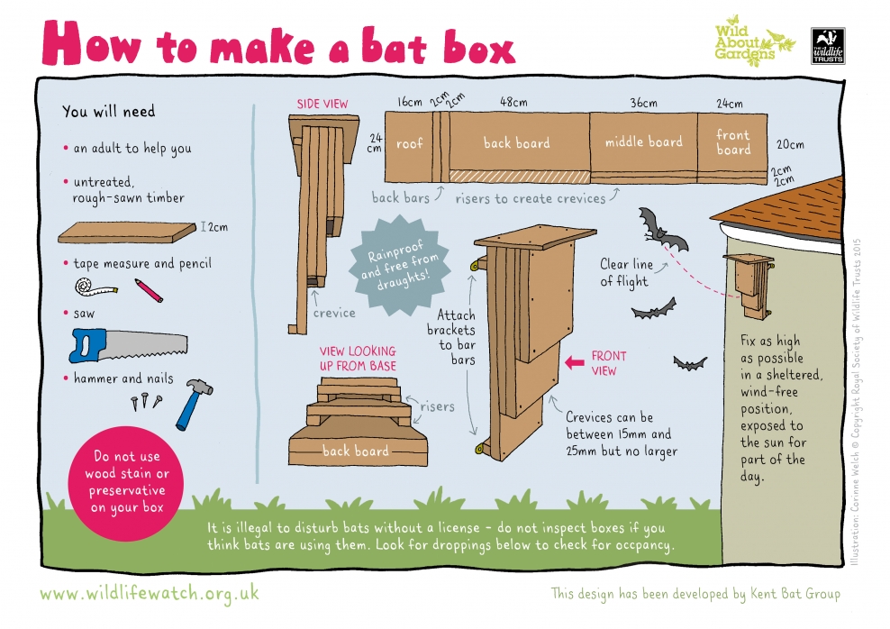 Build A Home For Wildlife Somerset Wildlife Trust   BAT BOX 2016 RGB 